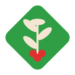 Download Green Coffee Branch Favicon